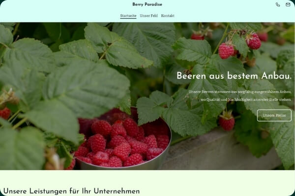 Website Beispiel Beeren