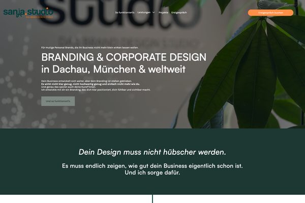 sanja.studio – Paceways Website Beispiel