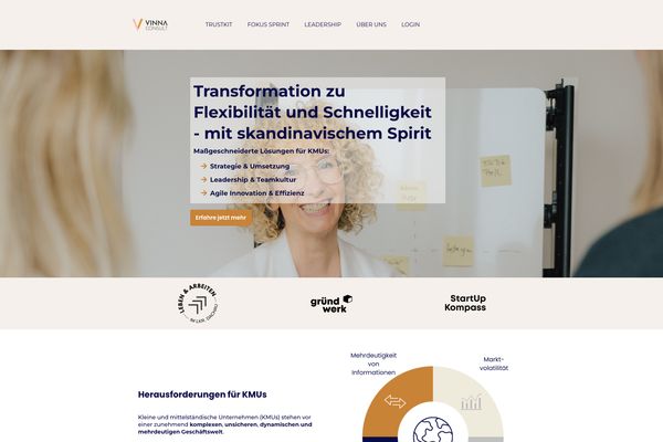 VinnaConsult – Paceways Website Beispiel
