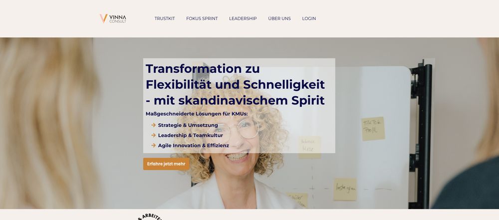 Website von VinnaConsult